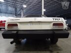 Thumbnail Photo 16 for 1980 Triumph TR7